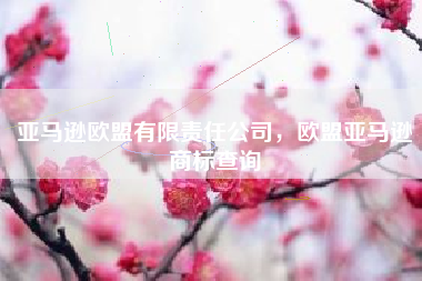 亚马逊欧盟有限责任公司，欧盟亚马逊商标查询