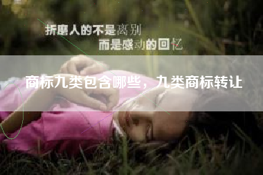 商标九类包含哪些，九类商标转让