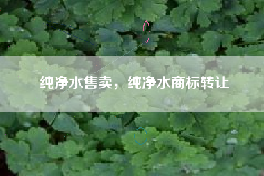 纯净水售卖，纯净水商标转让