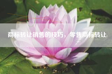 商标转让销售的技巧，零售商标转让