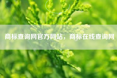 商标查询网官方网站，商标在线查询网