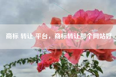商标 转让 平台，商标转让那个网站好