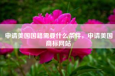 申请美国国籍需要什么条件，申请美国商标网站