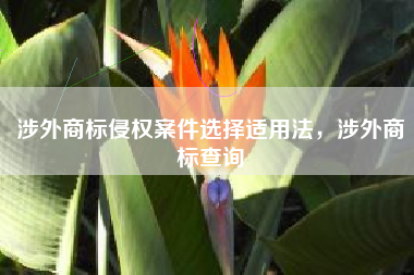 涉外商标侵权案件选择适用法，涉外商标查询