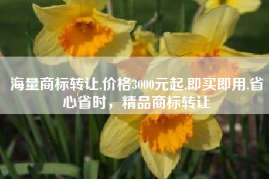 海量商标转让,价格3000元起,即买即用,省心省时，精品商标转让