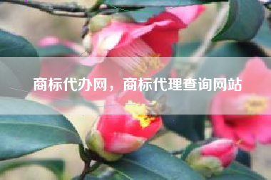 商标代办网，商标代理查询网站
