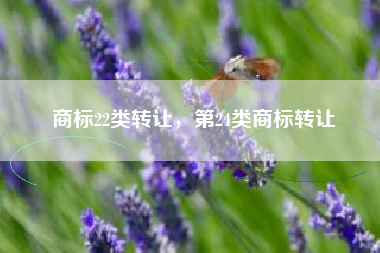 商标22类转让，第24类商标转让