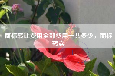 商标转让费用全部费用一共多少，商标转卖