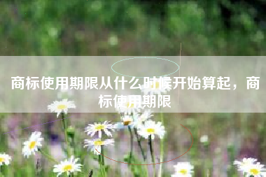 商标使用期限从什么时候开始算起，商标使用期限