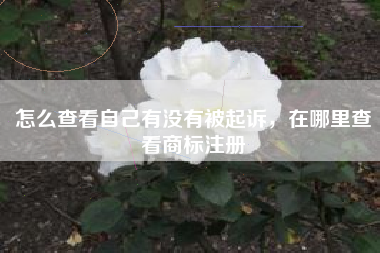怎么查看自己有没有被起诉,在哪里查看商标注册 怎么查看自己有没有被起诉,在哪里查看商标注册