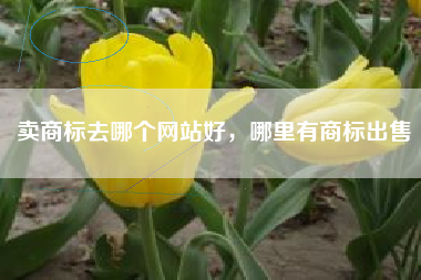卖商标去哪个网站好，哪里有商标出售