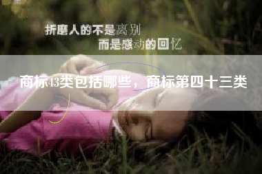 商标43类包括哪些，商标第四十三类