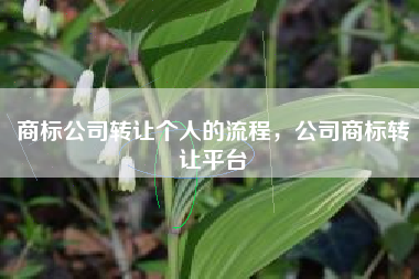 商标公司转让个人的流程，公司商标转让平台