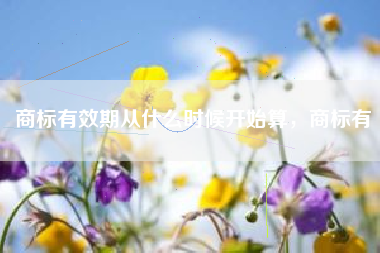 商标有效期从什么时候开始算，商标有