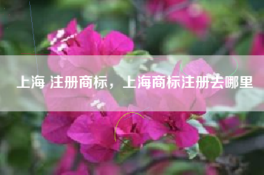 上海 注册商标,上海商标注册去哪里 上海 注册商标,上海商标注册去哪里