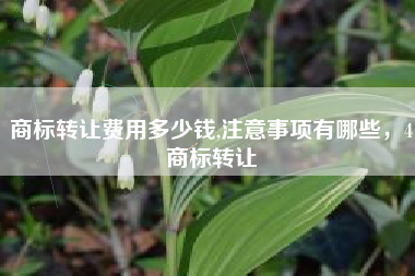 商标转让费用多少钱,注意事项有哪些，4商标转让