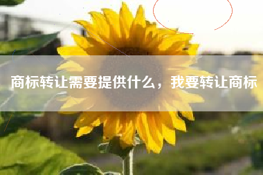 商标转让需要提供什么，我要转让商标