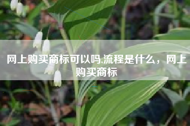 网上购买商标可以吗,流程是什么，网上购买商标