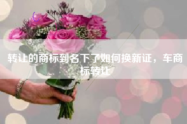 转让的商标到名下了如何换新证，车商标转让