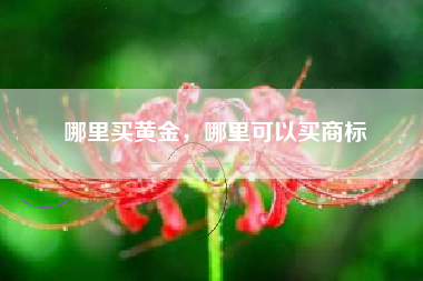 哪里买黄金，哪里可以买商标