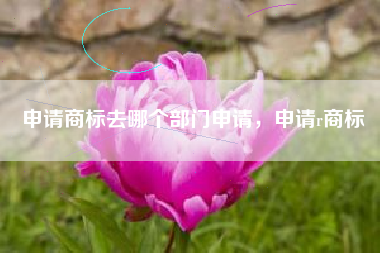 申请商标去哪个部门申请，申请r商标