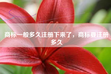 商标一般多久注册下来了,商标要注册多久 商标一般多久注册下来了,商标要注册多久