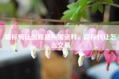 商标转让流程及所需资料，商标转让怎么交易