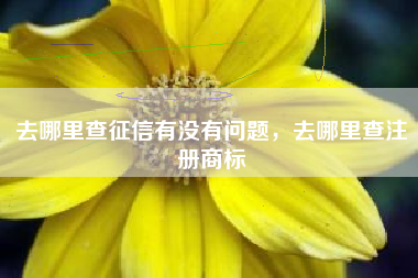 去哪里查征信有没有问题,去哪里查注册商标 去哪里查征信有没有问题,去哪里查注册商标
