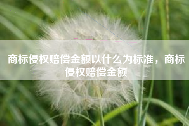 商标侵权赔偿金额以什么为标准，商标侵权赔偿金额