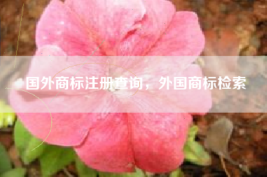 国外商标注册查询，外国商标检索