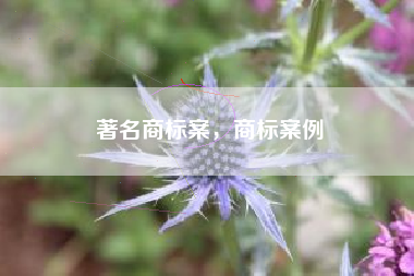 著名商标案，商标案例