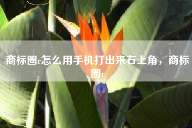商标圈r怎么用手机打出来右上角，商标圈r