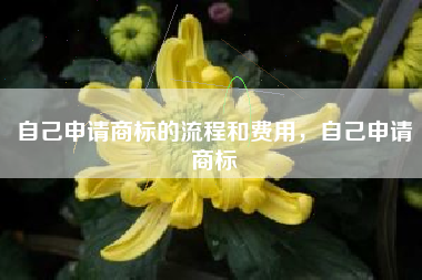 自己申请商标的流程和费用，自己申请商标