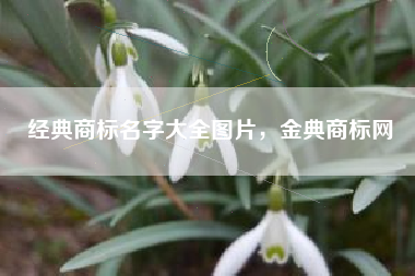 经典商标名字大全图片，金典商标网