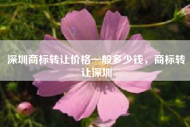 深圳商标转让价格一般多少钱，商标转让深圳