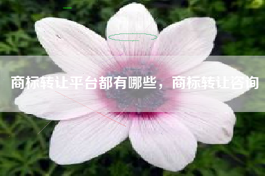 商标转让平台都有哪些，商标转让咨询