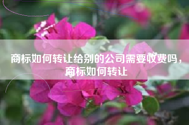 商标如何转让给别的公司需要收费吗，商标如何转让