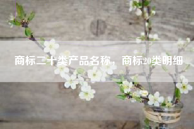 商标二十类产品名称，商标20类明细