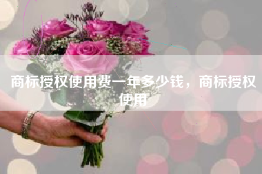 商标授权使用费一年多少钱，商标授权使用