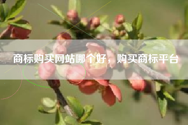 商标购买网站哪个好，购买商标平台