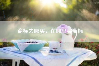 商标去哪买，在哪里买商标