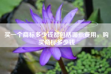 买一个商标多少钱都包括哪些费用，购买商标多少钱