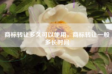 商标转让多久可以使用，商标转让一般多长时间