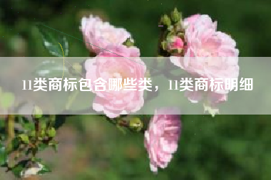 11类商标包含哪些类，11类商标明细