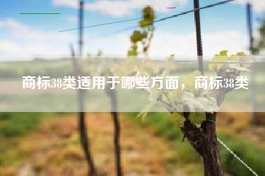商标38类适用于哪些方面，商标38类