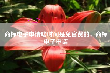 商标电子申请啥时间是免官费的，商标电子申请