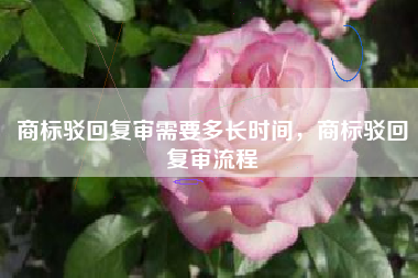 商标驳回复审需要多长时间，商标驳回复审流程