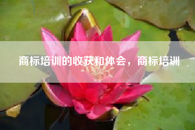 商标培训的收获和体会，商标培训