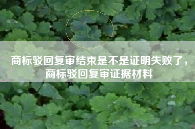 商标驳回复审结束是不是证明失败了，商标驳回复审证据材料