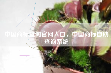 中国商标查询官网入口，中国商标自助查询系统